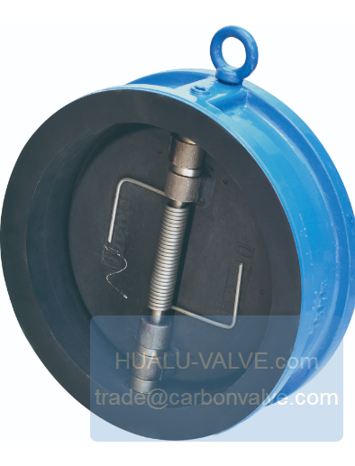 Photo1 EPDM Lined Check Valve