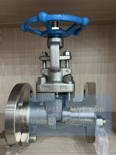 Photo2 F304 stainless steel forged flange valve