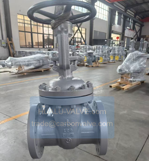 photo2 gate valve
