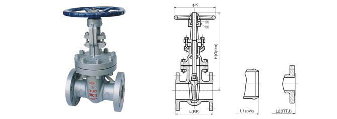 Class 150~1500 Cast Steel Gate Valve 