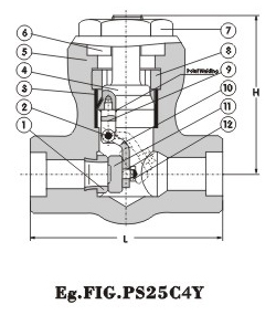 Pressure-seal Swing Check Valve 900Lb~2500Lb 